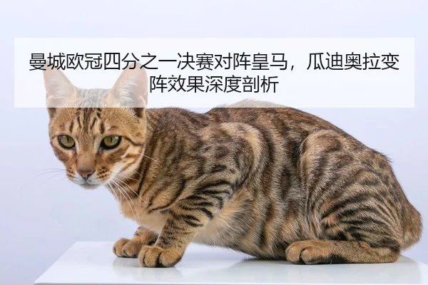 曼城欧冠四分之一决赛对阵皇马，瓜迪奥拉变阵效果深度剖析