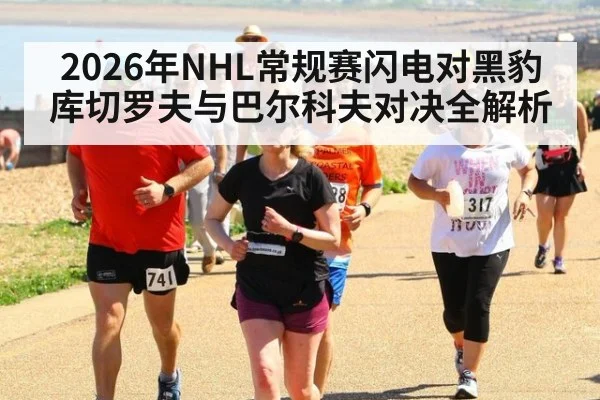 2026年NHL常规赛闪电对黑豹库切罗夫与巴尔科夫对决全解析